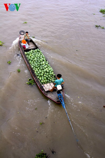 Cai Be floating market fascinates Mekong Delta visitors  - ảnh 6